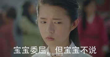 娱乐圈真实爆料何蓝逗,娱乐圈幕后真相大揭秘