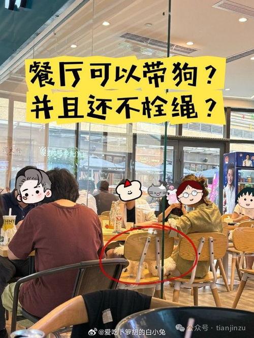 天津食堂爆料视频最新版,揭露食堂卫生与食品安全问题