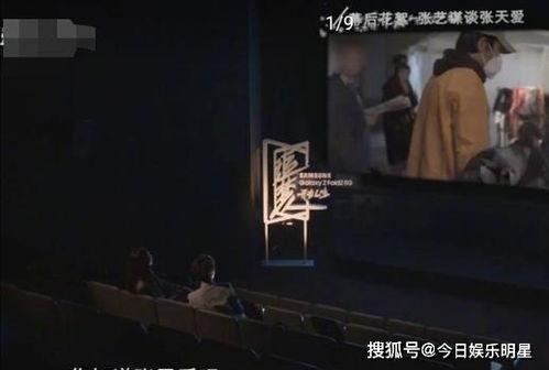 直播爆料张艺谋视频完整版,幕后故事与创作心路